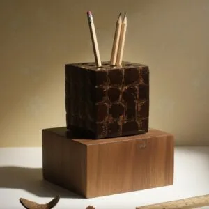 Coconut Shell Box Pen Holder