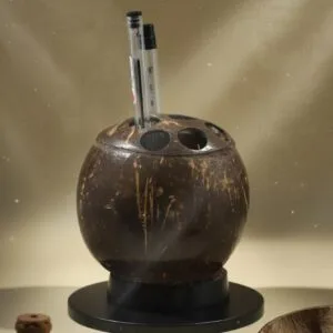 Coconut shell rounded pen holder