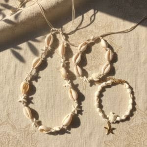 Seashells