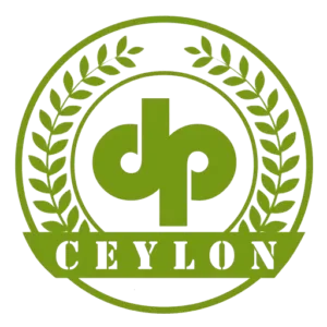 DP Cinnamon Exporters